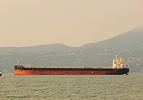 LOWLANDS ORANGE — Bulk Carrier, SINGAPORE flag, built 2019