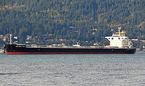 TEAL BLUE — Bulk Carrier, Panama flag, built 2020