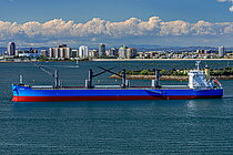 SELENA — Bulk Carrier, Barbados flag, built 2020