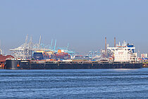 ANNABEL L — Bulk Carrier, Panama flag, built 2019