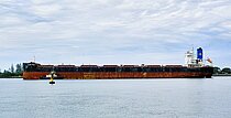 GOLDEN FRIEND — Bulk Carrier, Belgium flag, built 2020