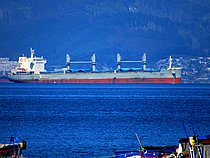 YUNNAN — Bulk Carrier, Singapore flag, built 2020
