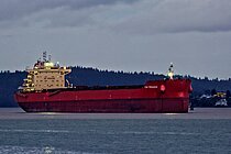 PAN PEGASUS — Bulk Carrier, LIBERIA flag, built 2019