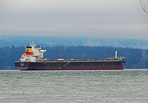 JIN LI — Bulk Carrier, HONG KONG flag, built 2019