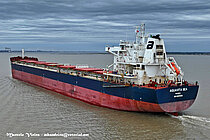 SEADUTY — Bulk Carrier, Malta flag, built 2020