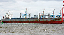 TOKYO PIONEER — Bulk Carrier, Panama flag, built 2020