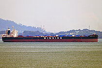 WINNING VISION — Bulk Carrier, Singapore flag, built 2019
