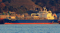ALFRED TEMILE — Gas Tanker, BERMUDA flag, built 2020