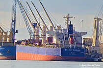 EQUINOX SOFRANO — Bulk Carrier, Marshall Islands flag, built 2019
