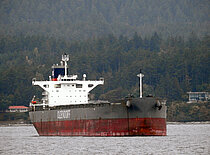 DIANE OLDENDORFF — Bulk Carrier, Republic of Liberia flag, built 2020