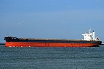 JAL TARA — Bulk Carrier, PANAMA flag, built 2019