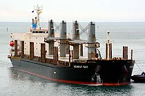 NEMRUT BAY — Bulk Carrier, Malta flag, built 2019