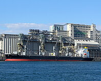 LOWLANDS ANGEL — Bulk Carrier, LIBERIA flag, built 2019