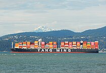 YM TRUTH — Container Ship, Liberia flag, built 2020