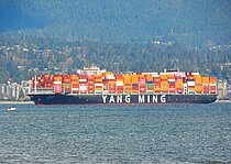 YM TIPTOP — Container Ship, LIBERIA flag, built 2021