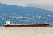 SUNSHINE PRIDE — Bulk Carrier, PANAMA flag, built 2020
