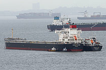 SCARLET STORK — Bulk Carrier, PANAMA flag, built 2020