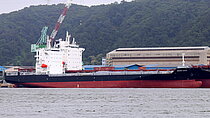 GREEN DAWN — Container Ship, Liberia flag, built 2020