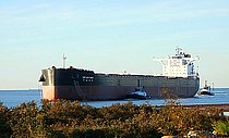 CS WU HAN — Bulk Carrier, HONG KONG flag, built 2021