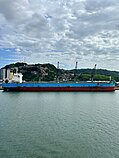 IDA — Bulk Carrier, BARBADOS flag, built 2020