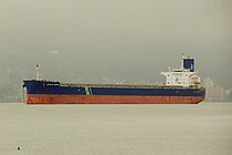 WORLD DIANA — Bulk Carrier, Isle of Man flag, built 2020