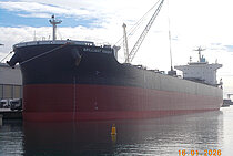 BRILLIANT KNIGHT — Bulk Carrier, Republic of Panama flag, built 2020