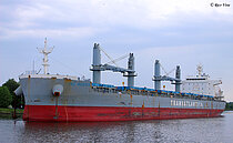 TAC SUZUKA — Bulk Carrier, Panama flag, built 2021