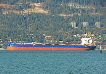 CL DAYANG HE — Bulk Carrier, MARSHALL ISLANDS flag, built 2020