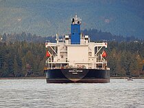 SAKURA FORTUNE — Bulk Carrier, Panama flag, built 2021