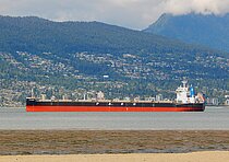 IKAN KEMBUNG — Bulk Carrier, Singapore flag, built 2020