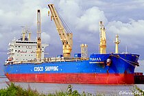 COSCOSHIPPING VISION