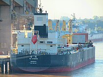 TAI STAMINA — Bulk Carrier, Liberia flag, built 2021