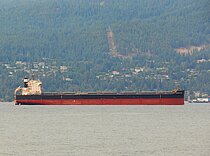 GIRASOLE RIVER — Bulk Carrier, Panama flag, built 2020