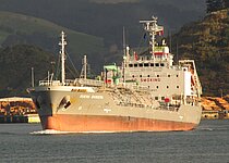 BUENA BANDERA — Gas Tanker, Panama flag, built 2020