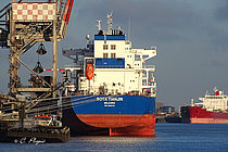 SOYA TIANJIN — Bulk Carrier, Marshall Islands flag, built 2020