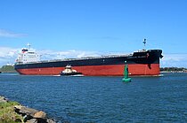 CAMELLIA ISLAND — Bulk Carrier, PANAMA flag, built 2020