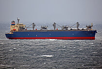 PRINCE OF NATURE — Bulk Carrier, Panama flag, built 2021