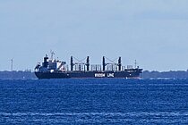 BUNUN RESPECT — Bulk Carrier, PANAMA flag, built 2021