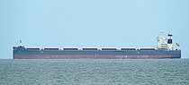 PISTI — Bulk Carrier, Marshall Islands flag, built 2021