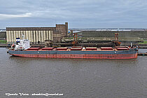TOLMI — Bulk Carrier, Marshall Islands flag, built 2022