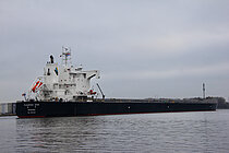 FLOURISH DIVA — Bulk Carrier, PANAMA flag, built 2021