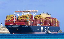 MSC AMELIA