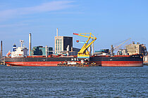 HSL MEXICO — Bulk Carrier, PANAMA flag, built 2020