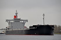 LOTUS BLOSSOM — Bulk Carrier, PANAMA flag, built 2021