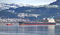 TM LUSTROUS — Bulk Carrier, PANAMA flag, built 2021