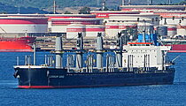 LIGNUM GRID — Bulk Carrier, Singapore flag, built 2022