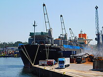 DYNA FLORESTA — Bulk Carrier, Liberia flag, built 2022