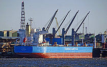 TYMFI — Bulk Carrier, Barbados flag, built 2021