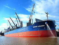 NORSE IJMUIDEN — Bulk Carrier, SINGAPORE flag, built 2021