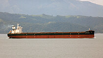 NORD PLATINUM — Bulk Carrier, DENMARK flag, built 2021